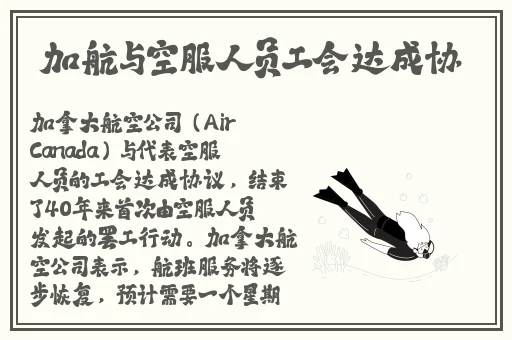 红袖网址多少网址进入